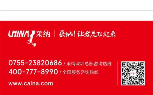 深圳采纳 市场营销策划的卓越典范与成功案例解析